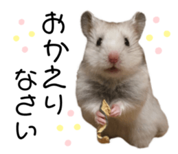 247534491