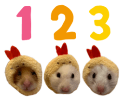 247534493