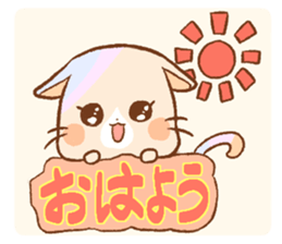 247536135