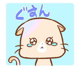 247536137