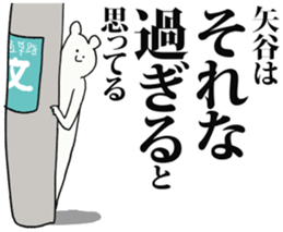247564955