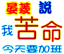 247617981