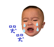 247627309