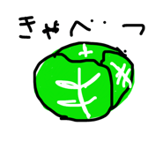 24767378