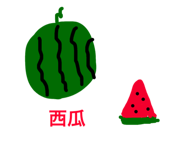 24767380