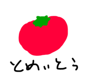 24767387