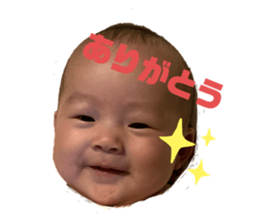 247725932