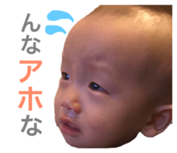 24774503
