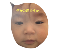 24775307