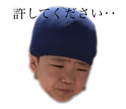 247784668
