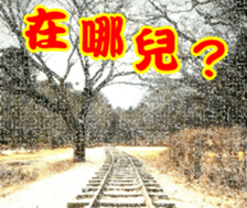 247798970