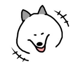 2478370