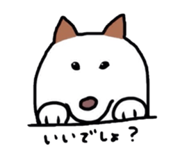 2478380