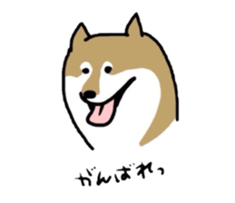 2478385