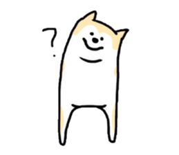 2478396