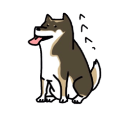 2478397