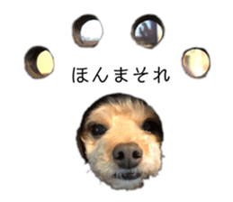 247851132