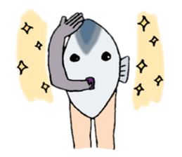 2478558