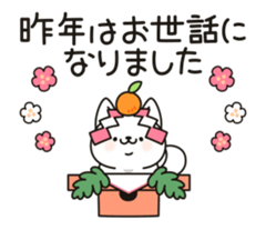 24790848