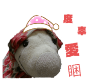 247965121