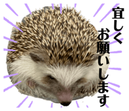248008139