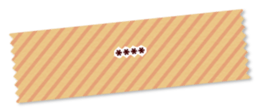 248017554