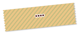 248017555