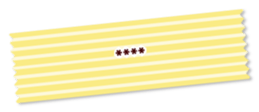 248017561