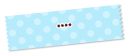 248017564