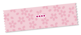 248017569