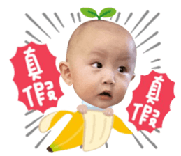 248087010