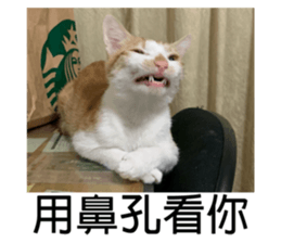 248444708