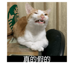 248444723