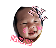 248457561