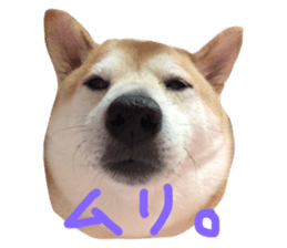 24849337