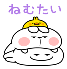 24849557