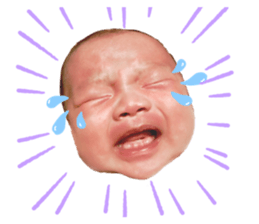 248500811