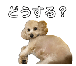 248500904
