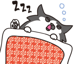 24850358