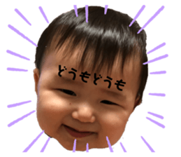 248506460