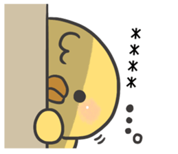 248507017