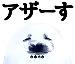 248508860