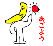 24852977