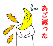 24853004
