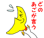 24853006