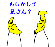 24853012
