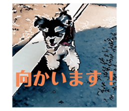 248530309