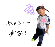 248531901