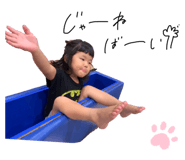 248531908