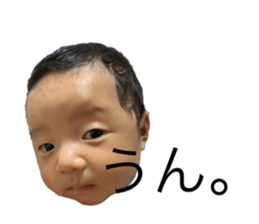 248607567